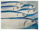 Fine art print - 60 x 48 cm - Limited edition - hand signed