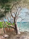 Aquarell - Punta Licosa / 24x32 / 30x40 in Passepartouthülle / KalmanfiArt - Galerie Cilento - Unikat