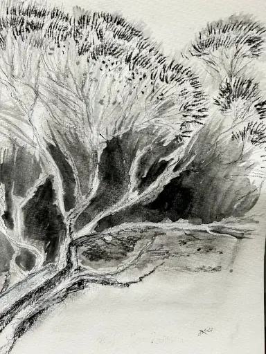 Pineta Punta Licosa - Watercolour - Graphit - 24x30 - Passepartout 30x40 - UNIKAT Sonja Kalmanfi - Galerie Cilento