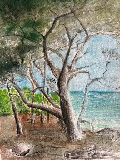 Aquarell - Punta Licosa / 24x32 / 30x40 in Passepartouthülle / KalmanfiArt - Galerie Cilento - Unikat