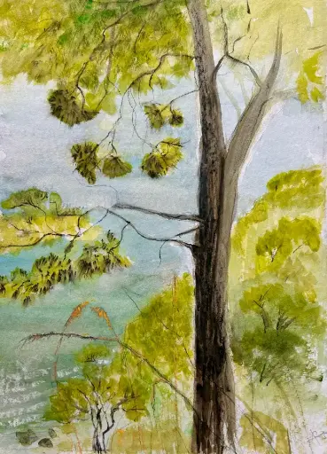 Aquarell - Ripe Rosse - 24x32 / 40x30 in Passepartouthülle / UNIKAT KalmanfiArt - Galerie Cilento